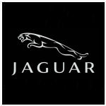 150x150 Jaguar